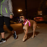 Noxgear LightHound Visibility Vest