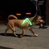 Noxgear LightHound Visibility Vest